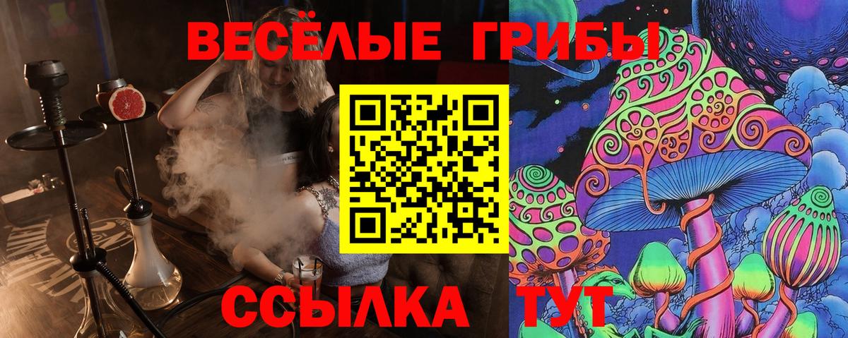 Карталы  Псилоцибиновые грибы прущие грибы  Вход с VPN  Галлюциногенные грибы Magic Shrooms 