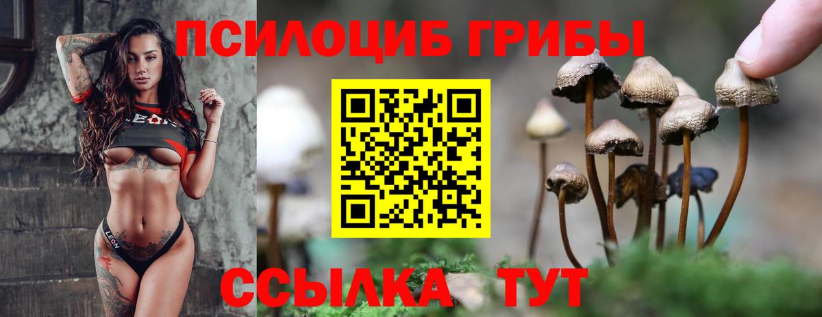 Галлюциногенные грибы Magic Shrooms Карталы